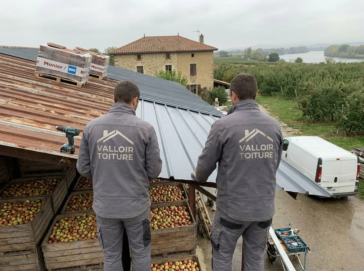 Deux couvreurs de Valloir Toiture posent du bac acier sur un abri de stockage de pommes, vergers et Rhône en arrière-plan, près de Saint-Rambert-d'Albon